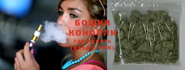 mix Богородицк