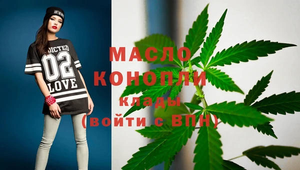 гашик Бородино